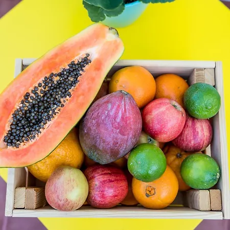 Terrace Fruit Point אכסניה *
