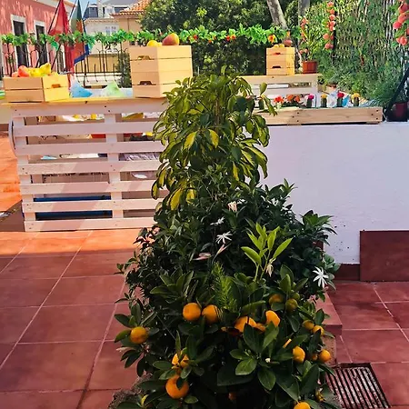 Terrace Fruit Point Hostel *