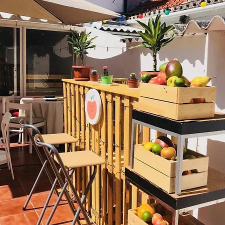 Terrace Fruit Point